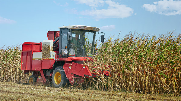 CD03在濰坊進(jìn)行玉米收獲作業(yè)