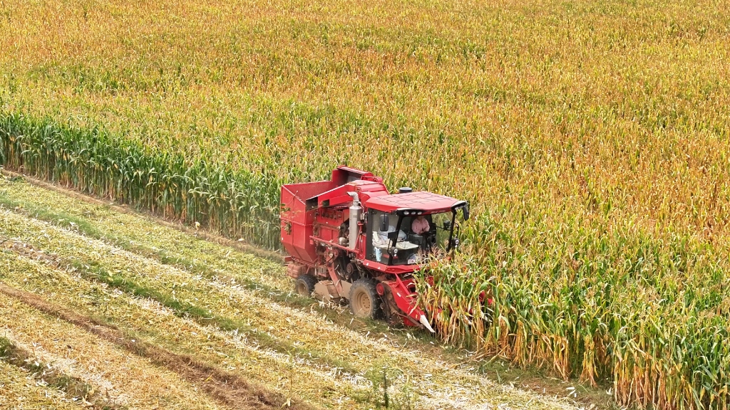 雷沃谷神玉米收獲機(jī)節(jié)油減損