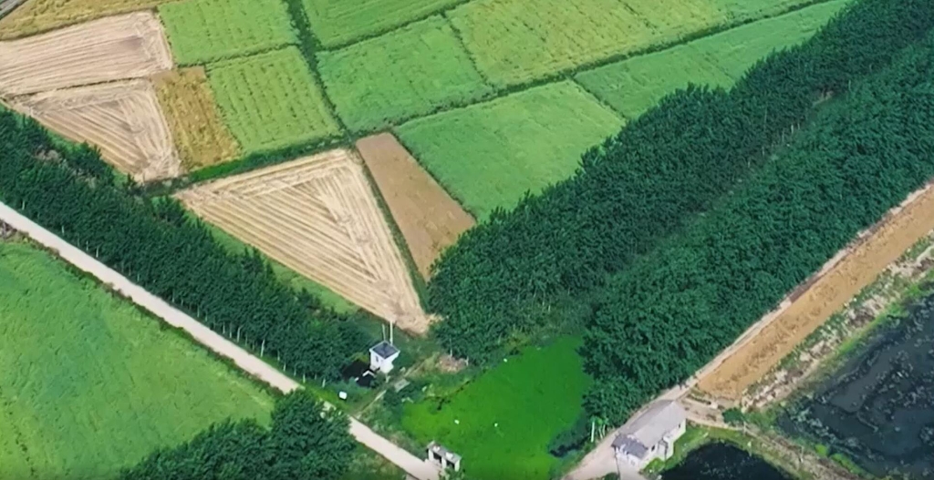 湖北履帶機麥?zhǔn)?>
            </div>
            <div   id=